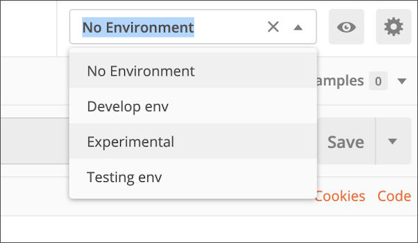 Environment Dropdown
