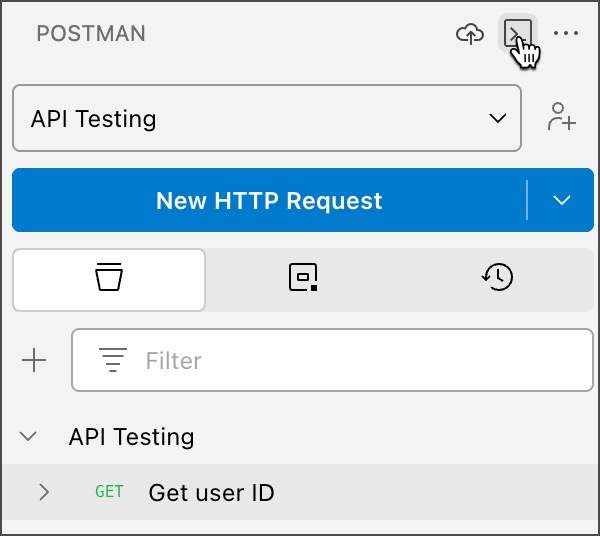 The Postman Console option