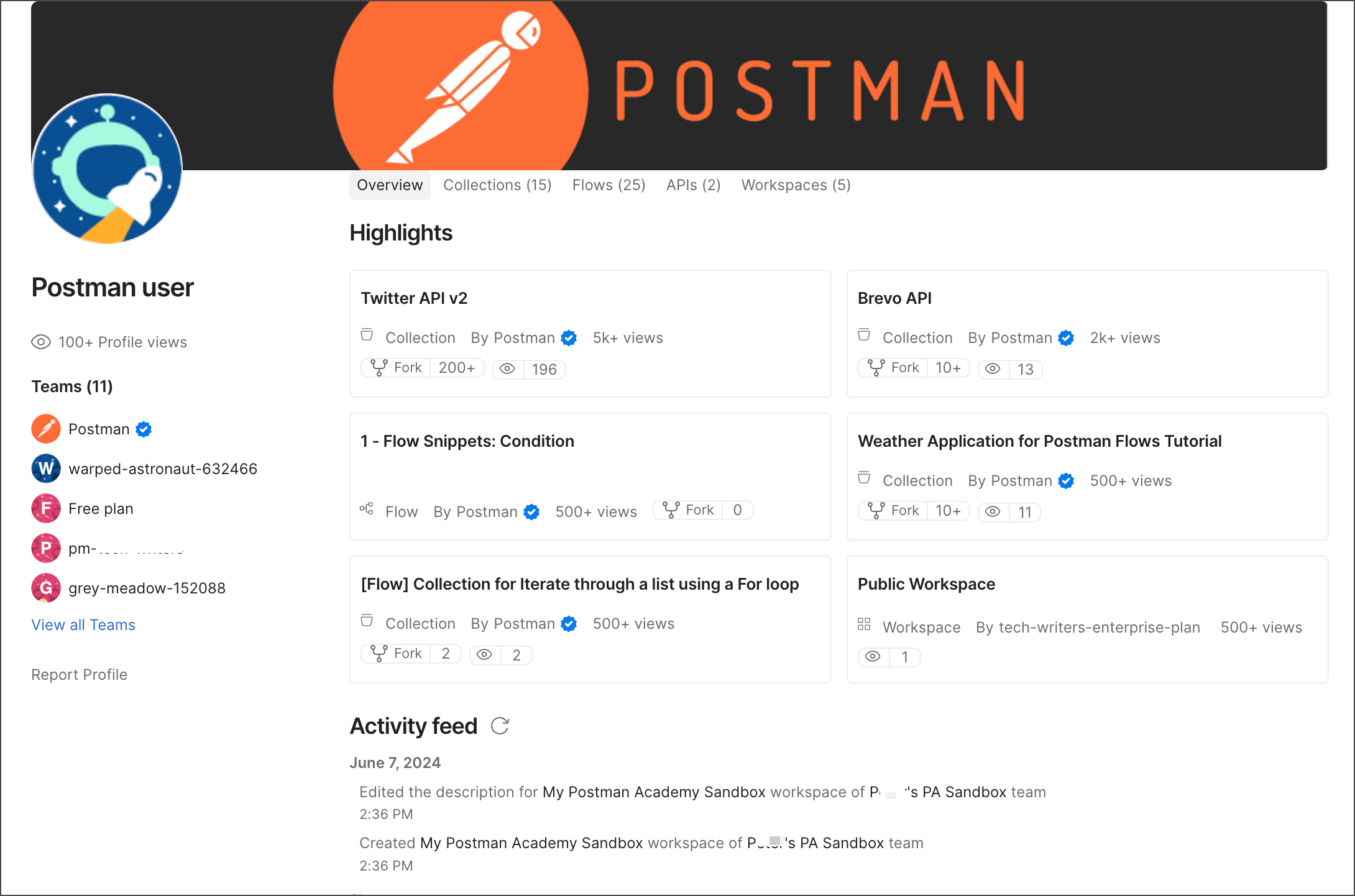 A Postman user's public profile